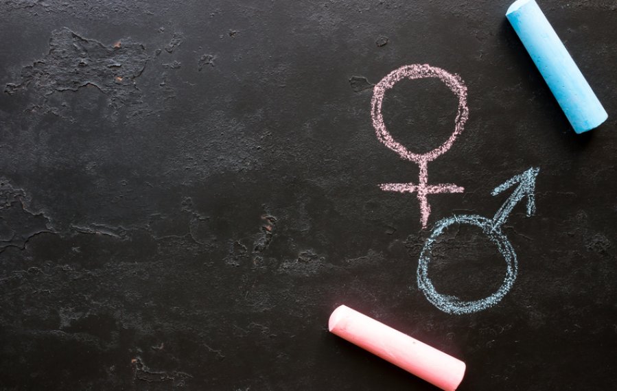 Das Bild zeigt eine schwarze Tafel. Auf dieser ist mit Kreide das Gender-Symbol Mann in blau und das Gender-Symbol Frau in rosa gemalt. Auf der Tafel liegen ein blaues und ein rosa Stück Kreide.