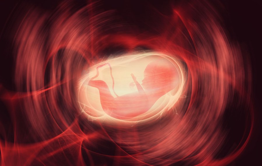 Ein animiertes Bild von einem Fötus im Mutterleib.