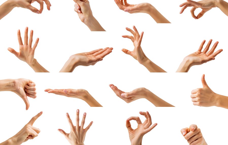 Viele Hände formen Gebärden, vor einem weißen Hintergrund.